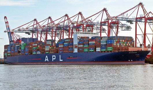 APL RAFFLES 9631979 Crew Reviews | Offshore Ship Advisor